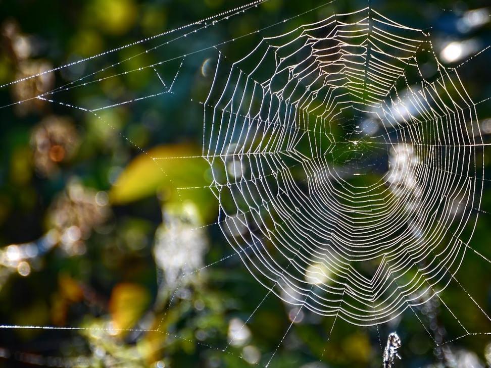 Apartamento Gawra Gustawa Ustrzyki Dolne Exterior foto